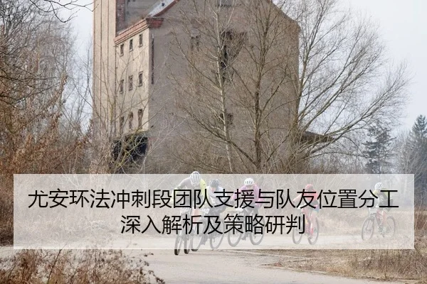 尤安环法冲刺段团队支援与队友位置分工深入解析及策略研判